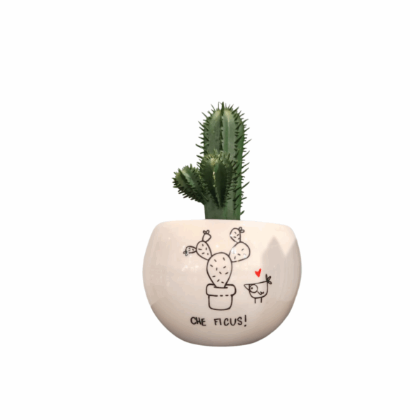 porta vaso ceramica ironico