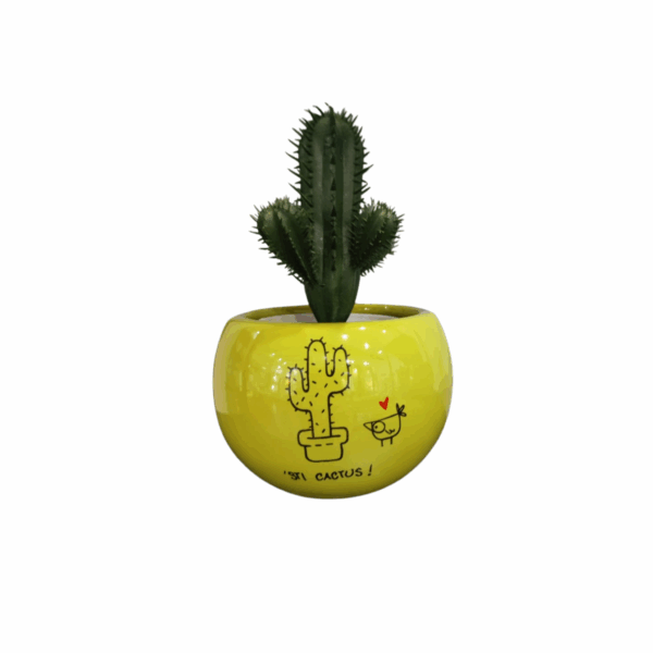 porta vaso ceramica ironico