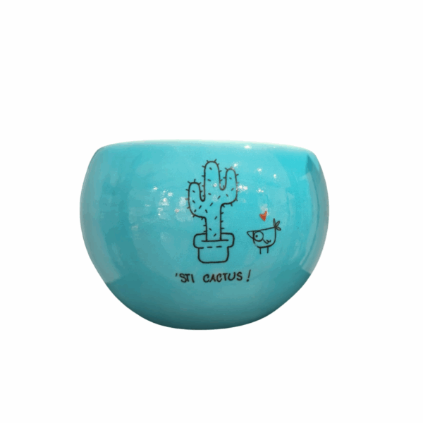 porta vaso ceramica ironico
