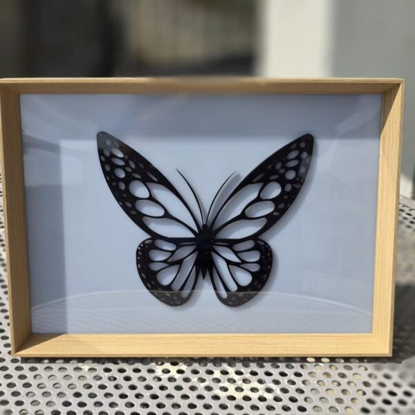 quadro farfalla