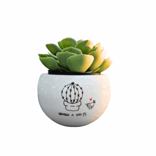 porta vaso ceramica ironico