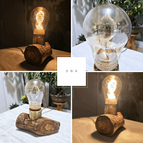 lampade legno ulivo