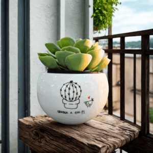 vaso ceramica ironico
