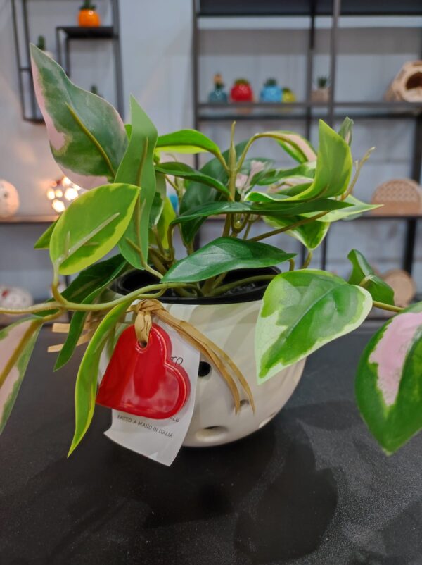 porta vaso ceramica bolle